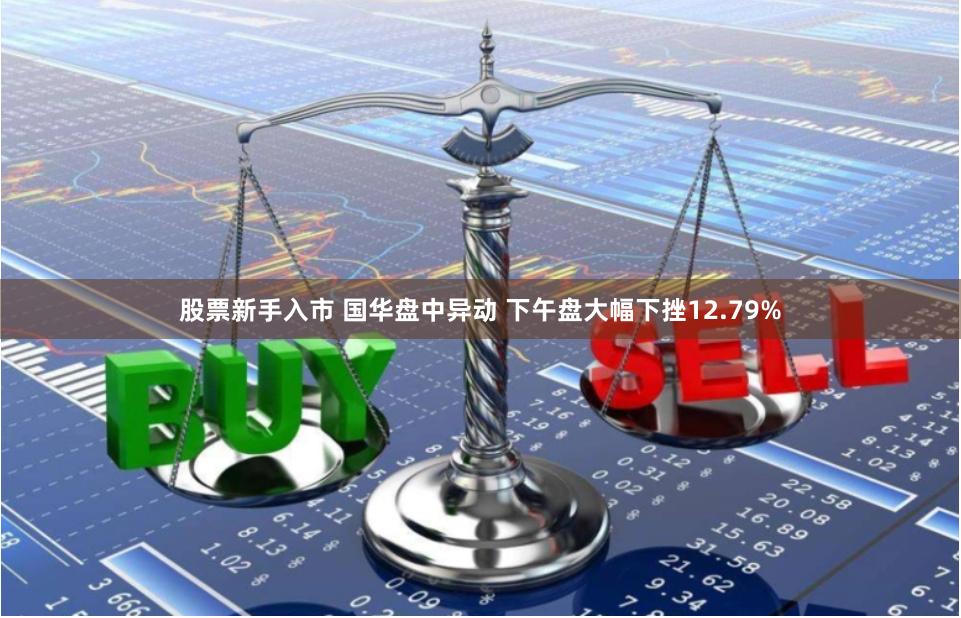 股票新手入市 国华盘中异动 下午盘大幅下挫12.79%