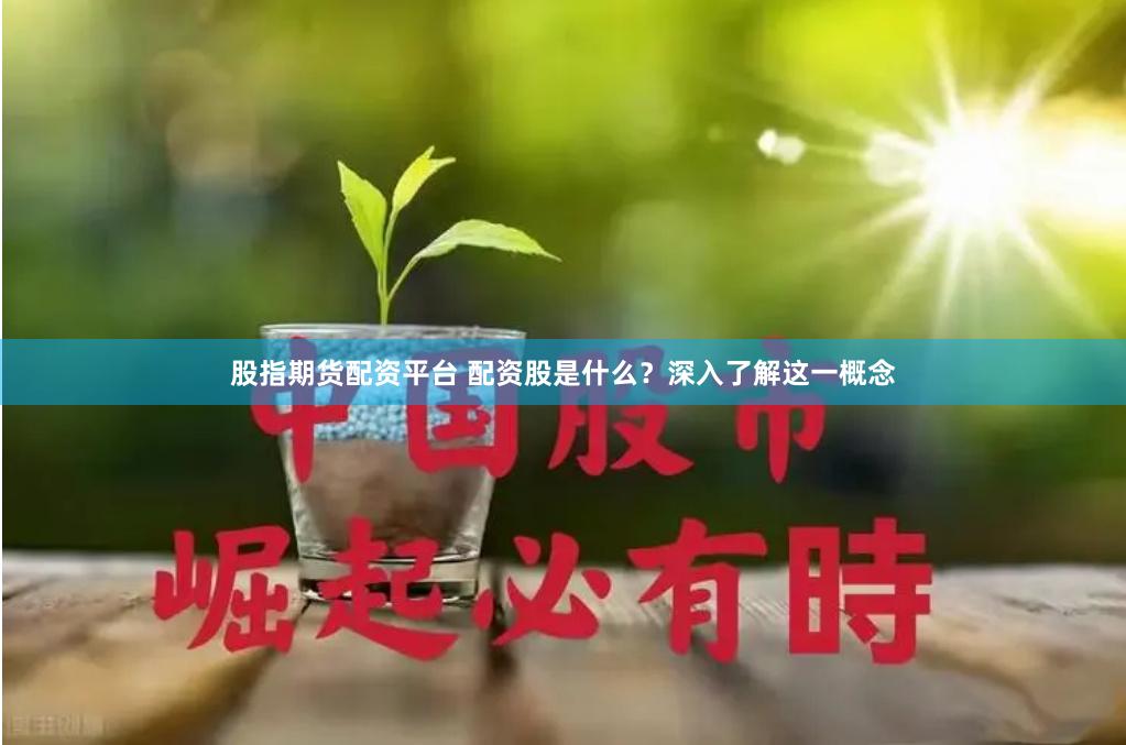 股指期货配资平台 配资股是什么？深入了解这一概念