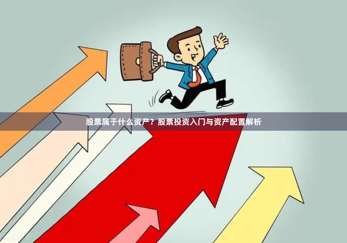 股票属于什么资产？股票投资入门与资产配置解析